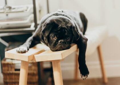 Όταν νιώθεις άδειος: Πώς να ξαναβρείς την δύναμη και την ενέργεια