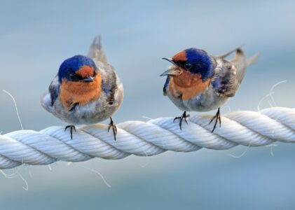 Δέκα μορφές τοξικότητας στην σχέση σου