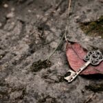 Ασημένιο κλειδί επάνω σε κόκκινο φύλλο με φόντο το έδαφος